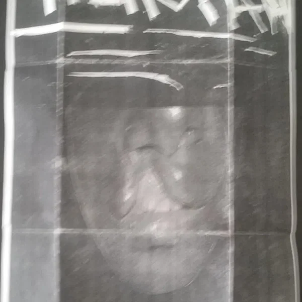 Swallowing Bile / Faggot Front Split