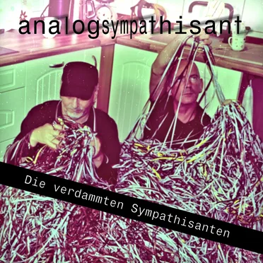 Die verdammten Sympathisanten by Analogsympathisant - album cover