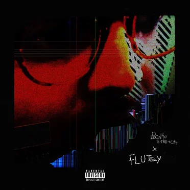 FLUTEY by BONGO STRETCH - album cover