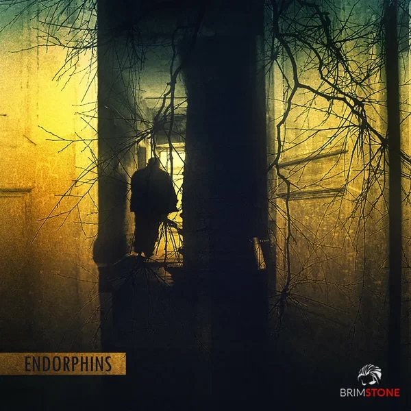 Endorphin