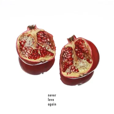 Never Love Again by Sumner James - album cover