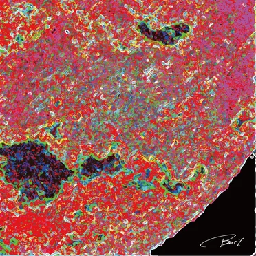 Boil by kurage - album cover