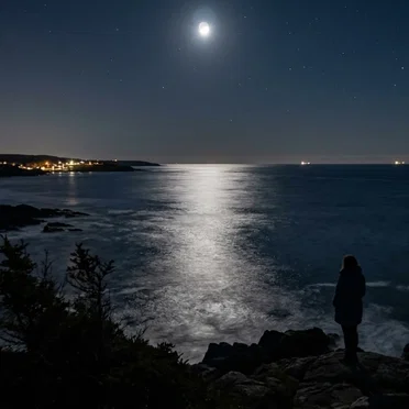 Night See