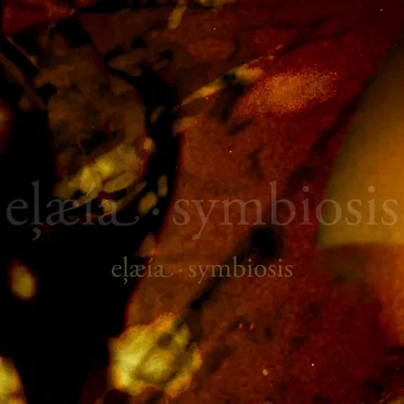 symbiosis by elæia - album cover