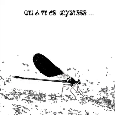 Qui a vu ce mystère…