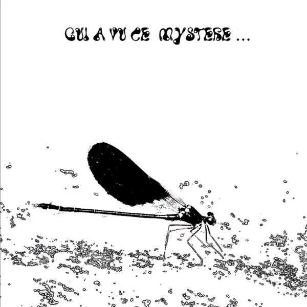 Qui a vu ce mystère…