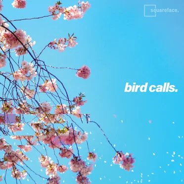 Bird Calls by Squareface - album cover
