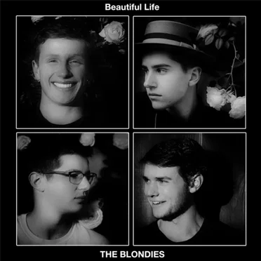 A Beautiful Life