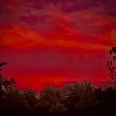 Heat Signature
