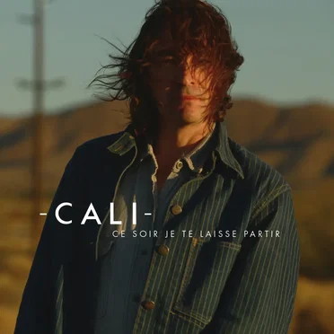 Ce soir je te laisse partir (radio edit)