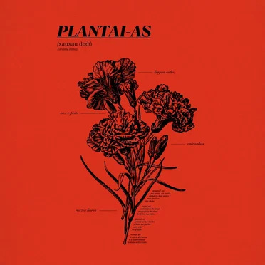 Plantai-as