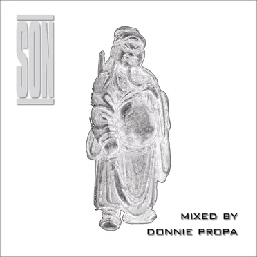 Donnie Propa Mix by Various Artists - album cover