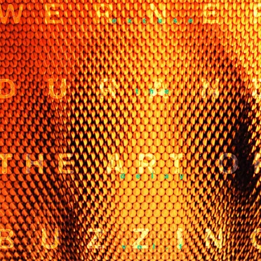 Excuse the Delay, Vol. 1: The Art of Buzzing