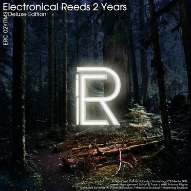 Electronical Reeds 2 Years (Deluxe Edition) by Various Artists - album cover