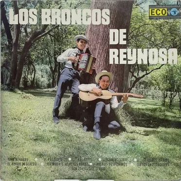 Los Broncos de Reynosa