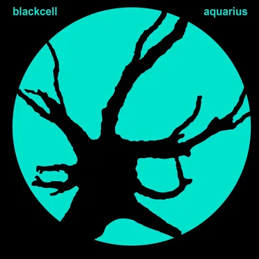 Aquarius