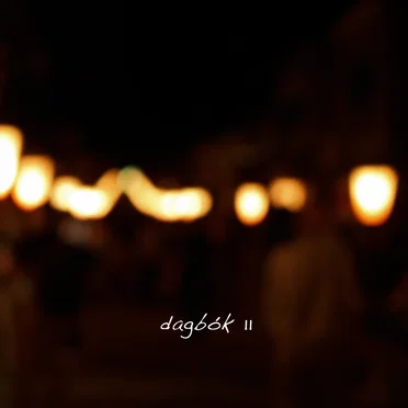 dagbók 11