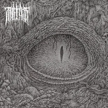 Divided in Life by Mrtva Vod - album cover