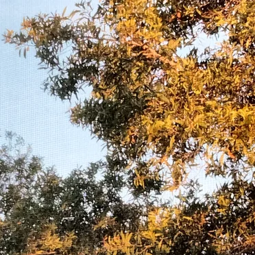 Richmond CA Atmosphere