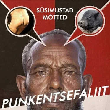 Punkentsefaliit