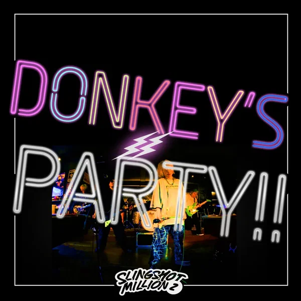 DONKEY’S PARTY