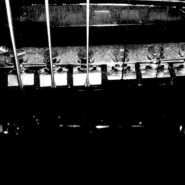 Into the Clearing Where the Blinding Sun Burns Flesh