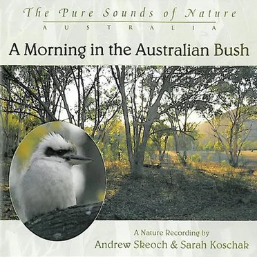 A Morning in the Australian Bush