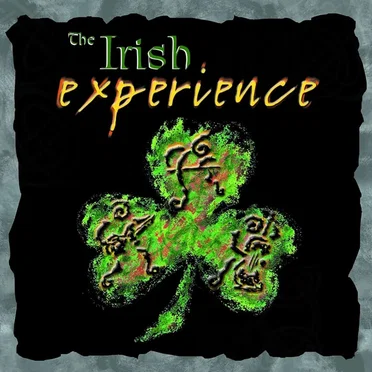 The Irish Experience by The Irish Experience - album cover