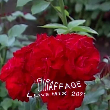 Love Mix 2021