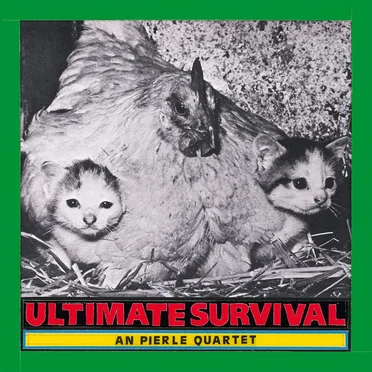 An Pierlé Quartet