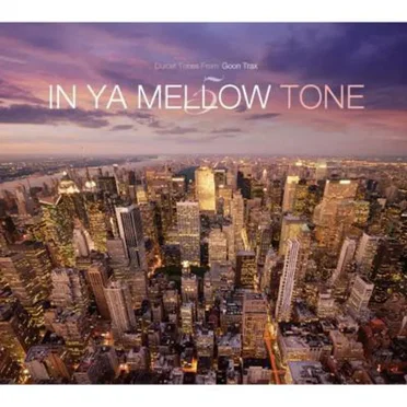 IN YA MELLOW TONE 5 by Various Artists - album cover