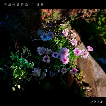 季節性感情論 / 日常