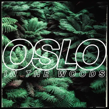 In The Woods