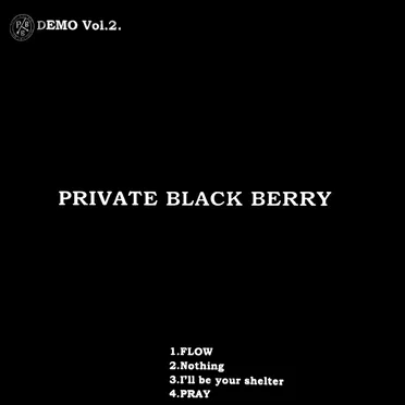 DEMO Vol.2 by PRIVATE BLACK BERRY - album cover