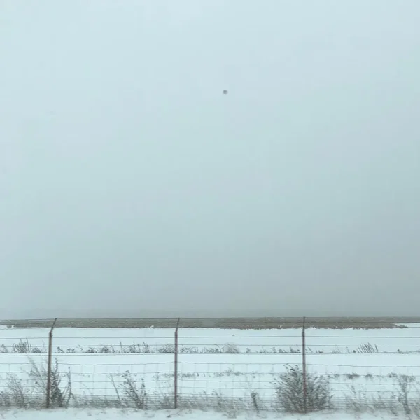 Cold Fronts