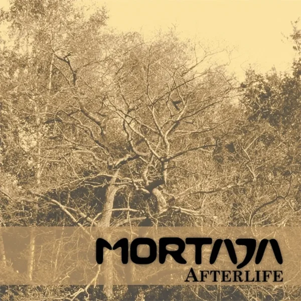 Afterlife