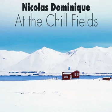 At the Chill Fields by Nicolas Dominique - album cover