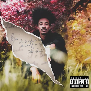 Searchin by Lake Stovall - album cover