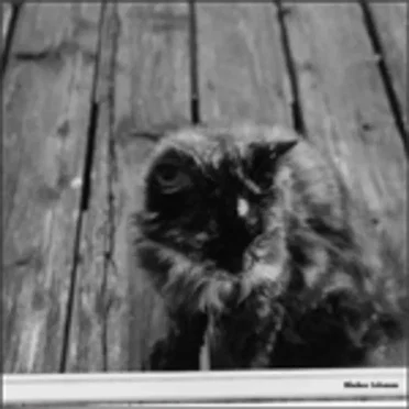 Nimbus Coleman by Nimbus Coleman - album cover