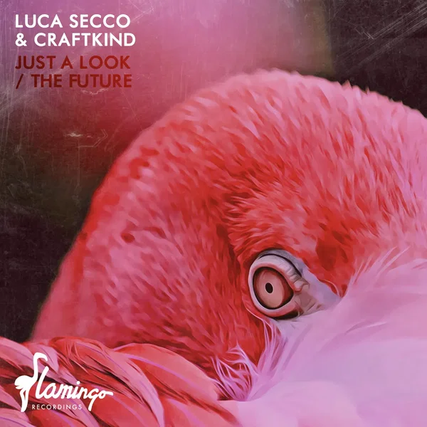 Just a Look / The Future