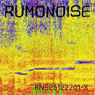 RNS25122201-X
