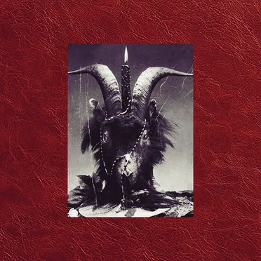 Serpent’s Flower by Dubh - album cover