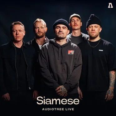 Audiotree Live