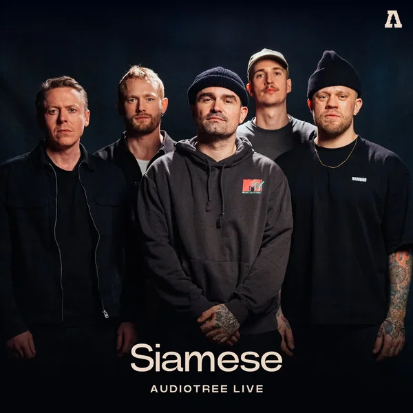 Audiotree Live