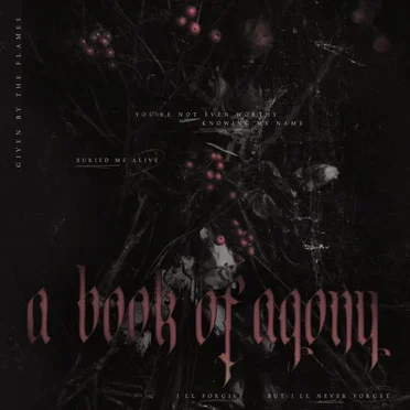 A BOOK OF AGONY by GIVEN BY THE FLAMES - album cover