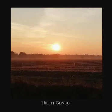 Nicht genug