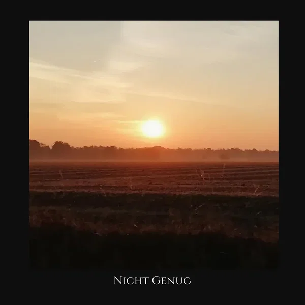 Nicht genug