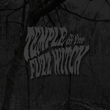 Temple of the Fuzz Witch by Temple of the Fuzz Witch - album cover
