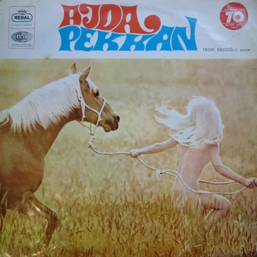 Fecri Ebcioğlu Sunar by Ajda Pekkan - album cover