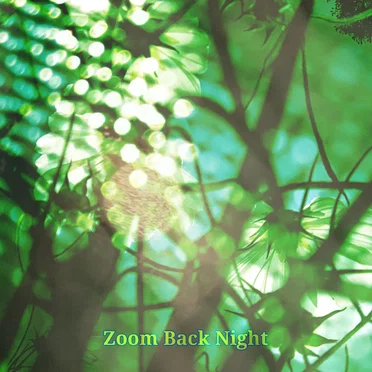 Zoom Back Night